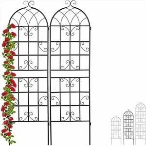 Chtrellis-05 Garden Fence