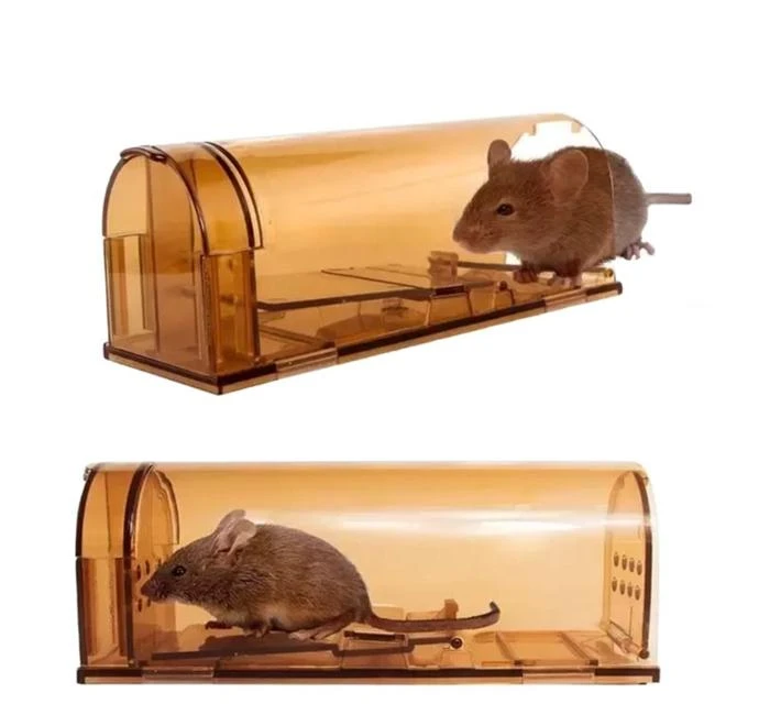 Tunnel-Type Transparent Rat Trap